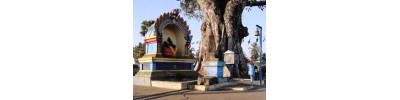 மலையன்குளம்